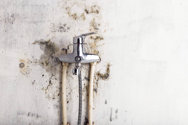 Best Mold Testing and Inspection Services in Richland Hills, TX