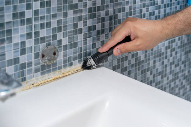 Best Residential Mold Remediation in Richland Hills, TX