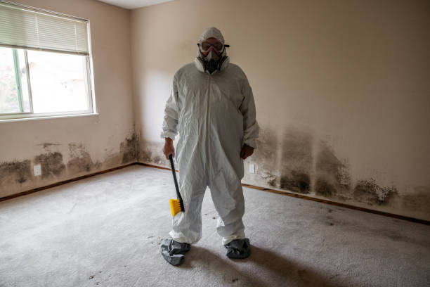 Best Post-Flood Mold Remediation in Richland Hills, TX